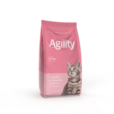 Agility Gato Kitten