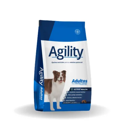 Agility Dog Adulto