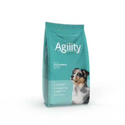 Agility Dog Cachorro