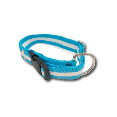 Collar Argentina Regulable L