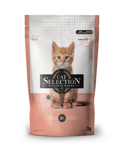 Cat Selection Etiqueta Negra Kitten