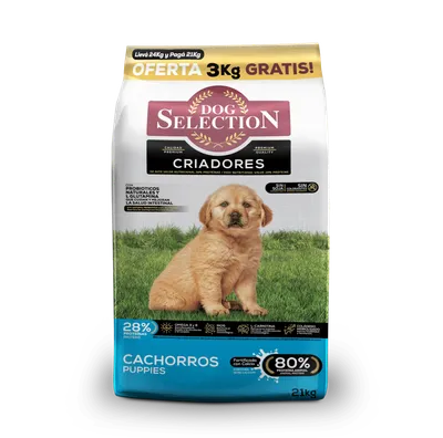 Dog Selection Criadores Cachorro