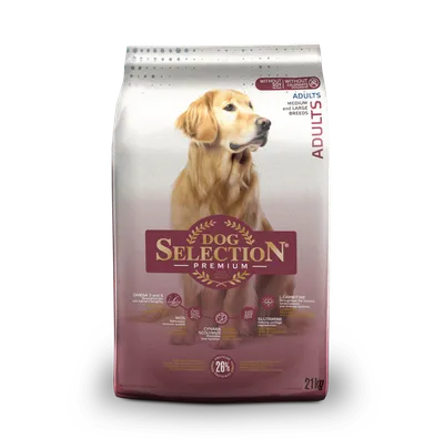 Dog Selection Premium Adulto