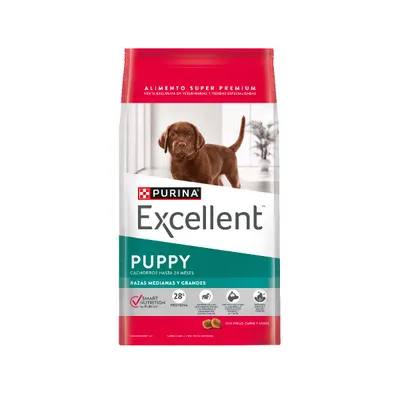 Excellent Smart Perro Cachorro Raza Mediana y Grande