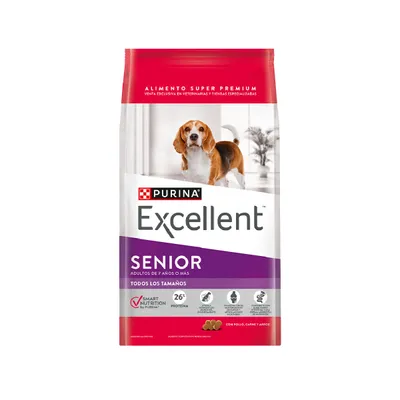 Excellent Smart Perro Senior