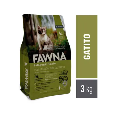 Fawna Gato Kitten