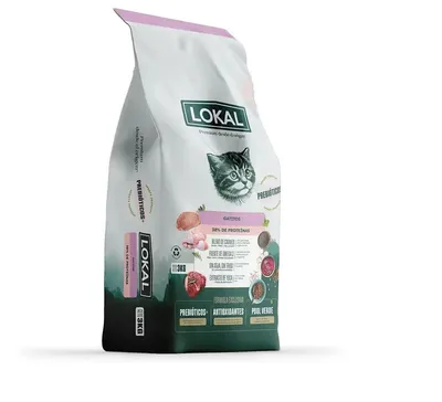Lokal Gatitos
