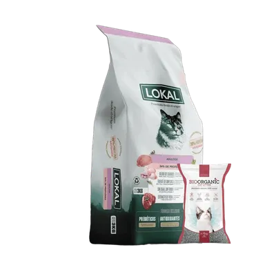 Lokal Gato Adulto