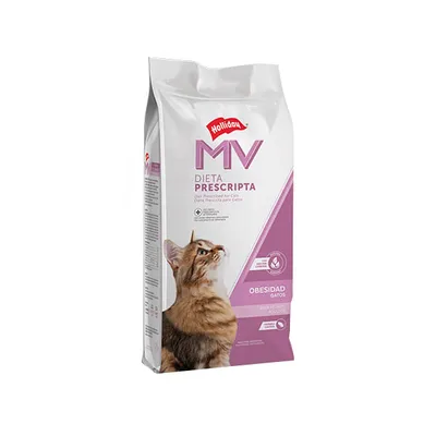 MV Gato Obesidad