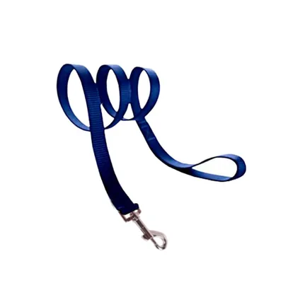 Correa De Polipropileno Para Perro Especial 25 Mm 120 Cm
