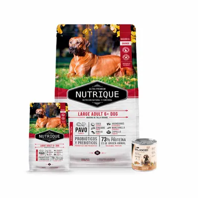 Nutrique Large Adulto Perro 6+