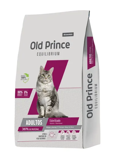 Old Prince Equilibrium Gato Indoor
