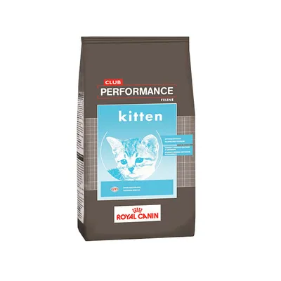 Club Performance Gatitos