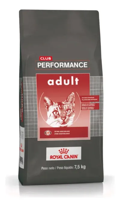 Club Performance Gato Adulto