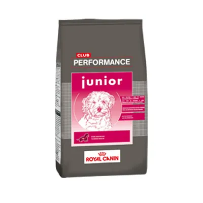 Club Performance Perro Cachorro