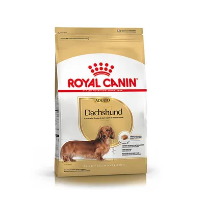 Royal Canin Dachshund Adulto