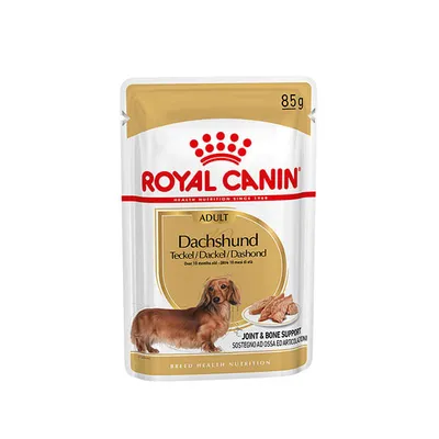 Royal Canin Dachshund