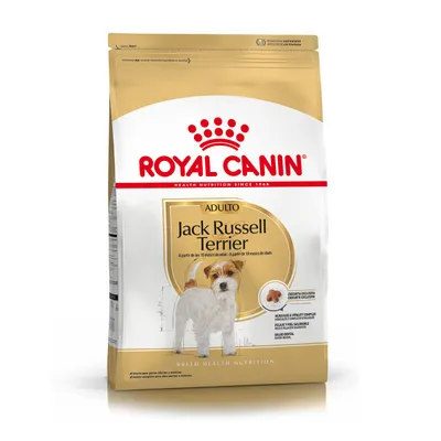 Royal Canin Jack Russell Adulto