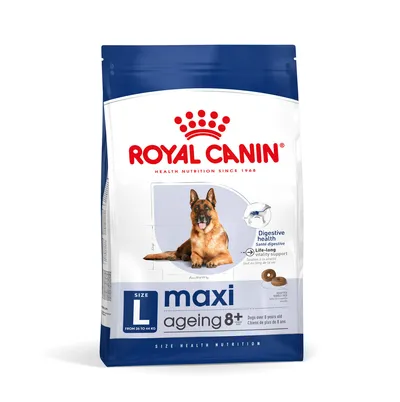 Royal Canin Perro Maxi Ageing 8+