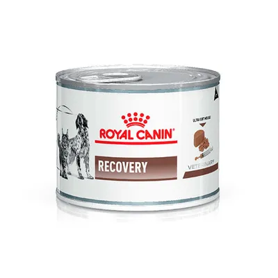 Royal Canin Recoverys