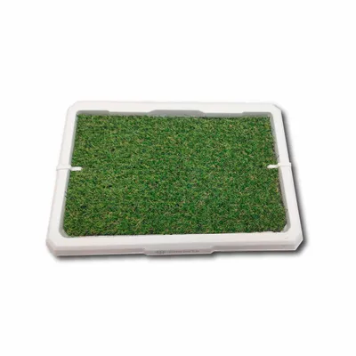 Bandeja Sanitaria Tonipets Mini 48X32X25 Cm