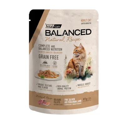 Vitalcan Balanced Natural Recipe Filetes Salmon Y Cordero Gato Adulto