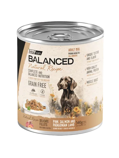 Vitalcan Balanced Natural Recipe Filetes Salmon Y Cordero Perro Adulto