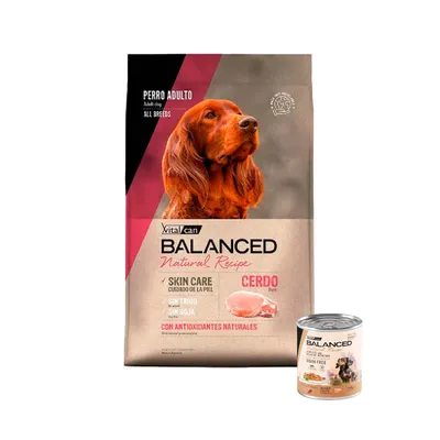 Vitalcan Balanced Perro Natural Recipe Cerdo