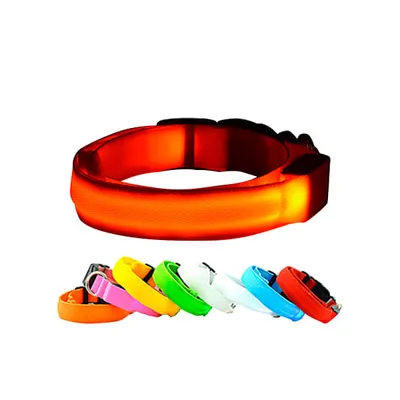 Collar Led Recargable USB Talle M